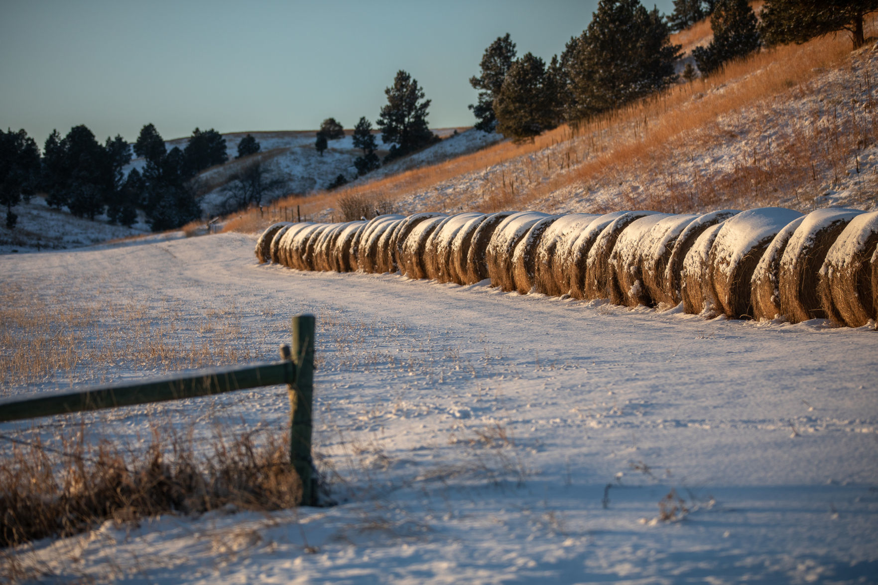 Cold weather